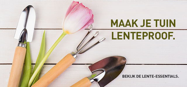 Lente mobile